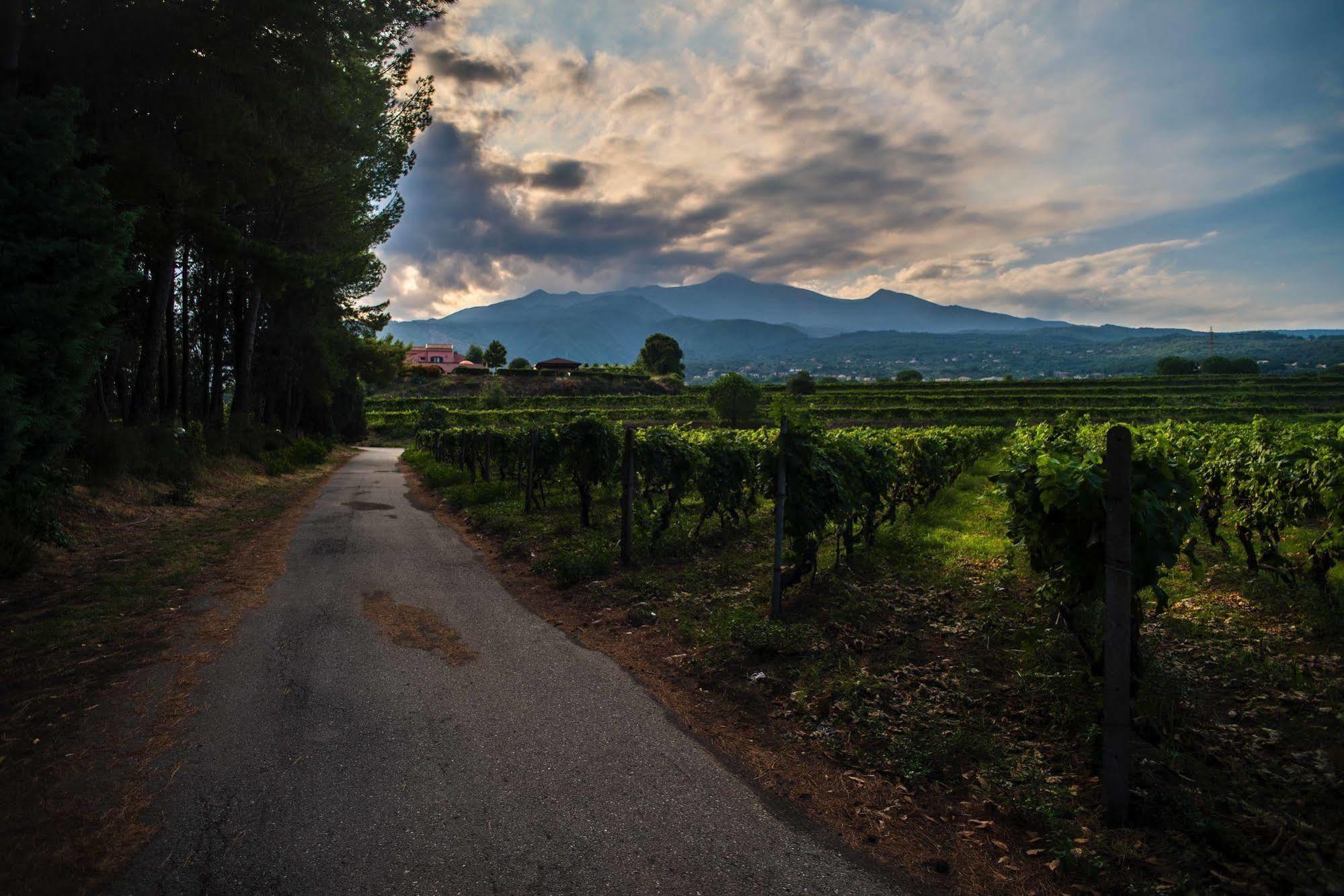 Agriturismo Tenuta San Michele Santa Venerina Eksteriør billede
