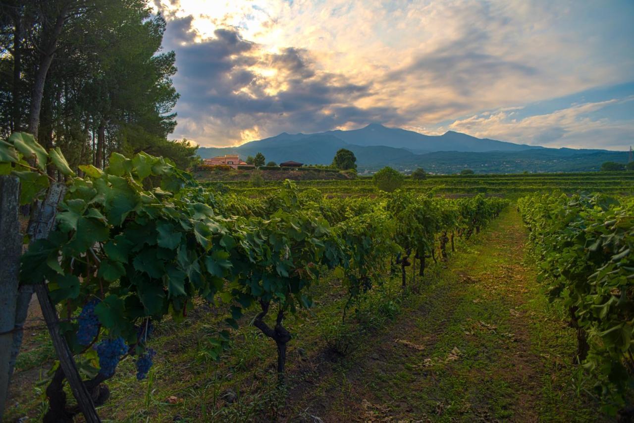 Agriturismo Tenuta San Michele Santa Venerina Eksteriør billede